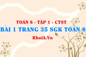 Bài 1 trang 35 SGK Toán 8 Tập 1 Chân trời sáng tạo
